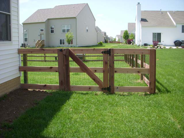 3 Rail Poplar